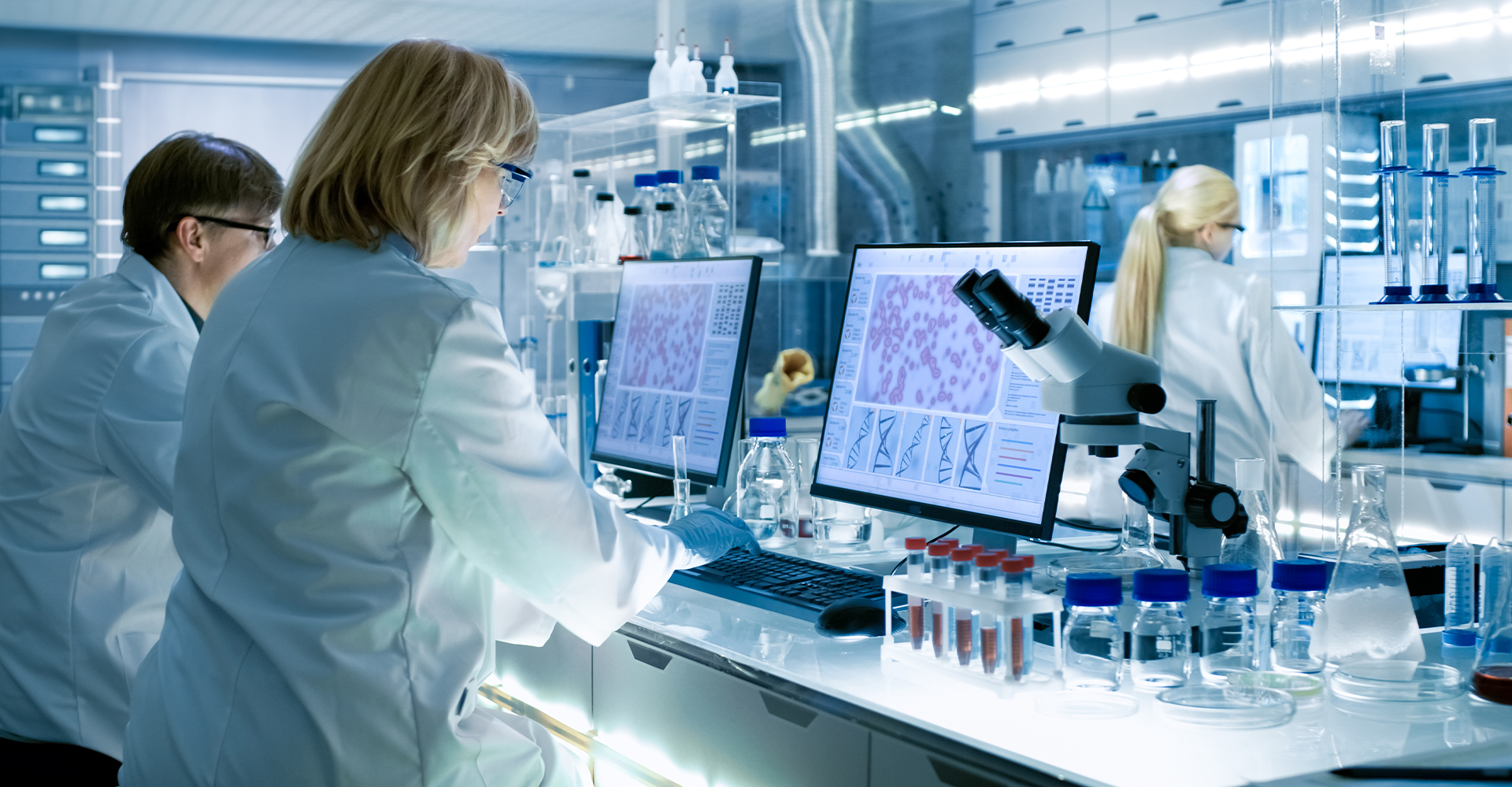 Professione Biologo Molecolare: ruolo e competenze